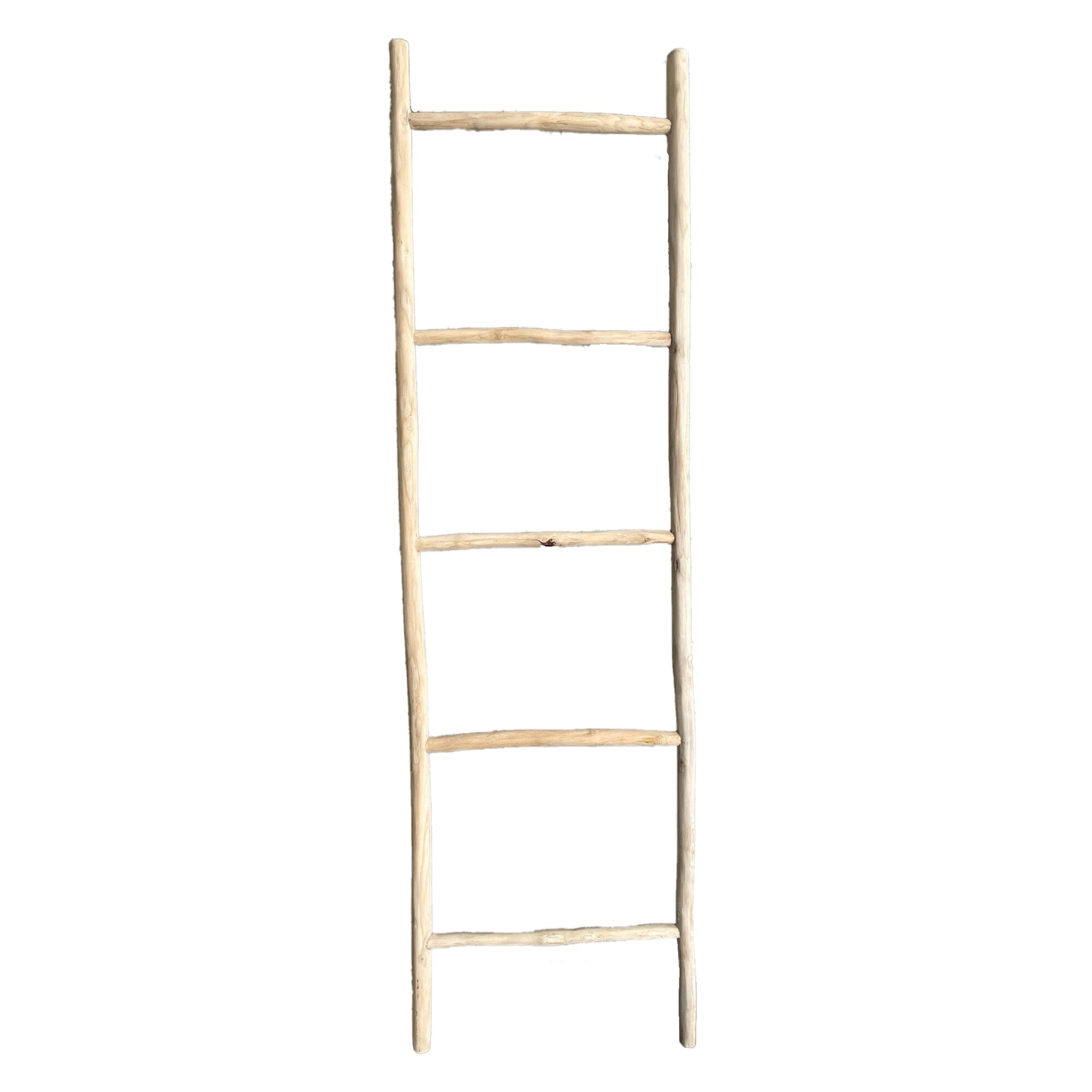 Driftwood Timber Ladder - Small Homewares Beachwood Designs Natural Driftwood