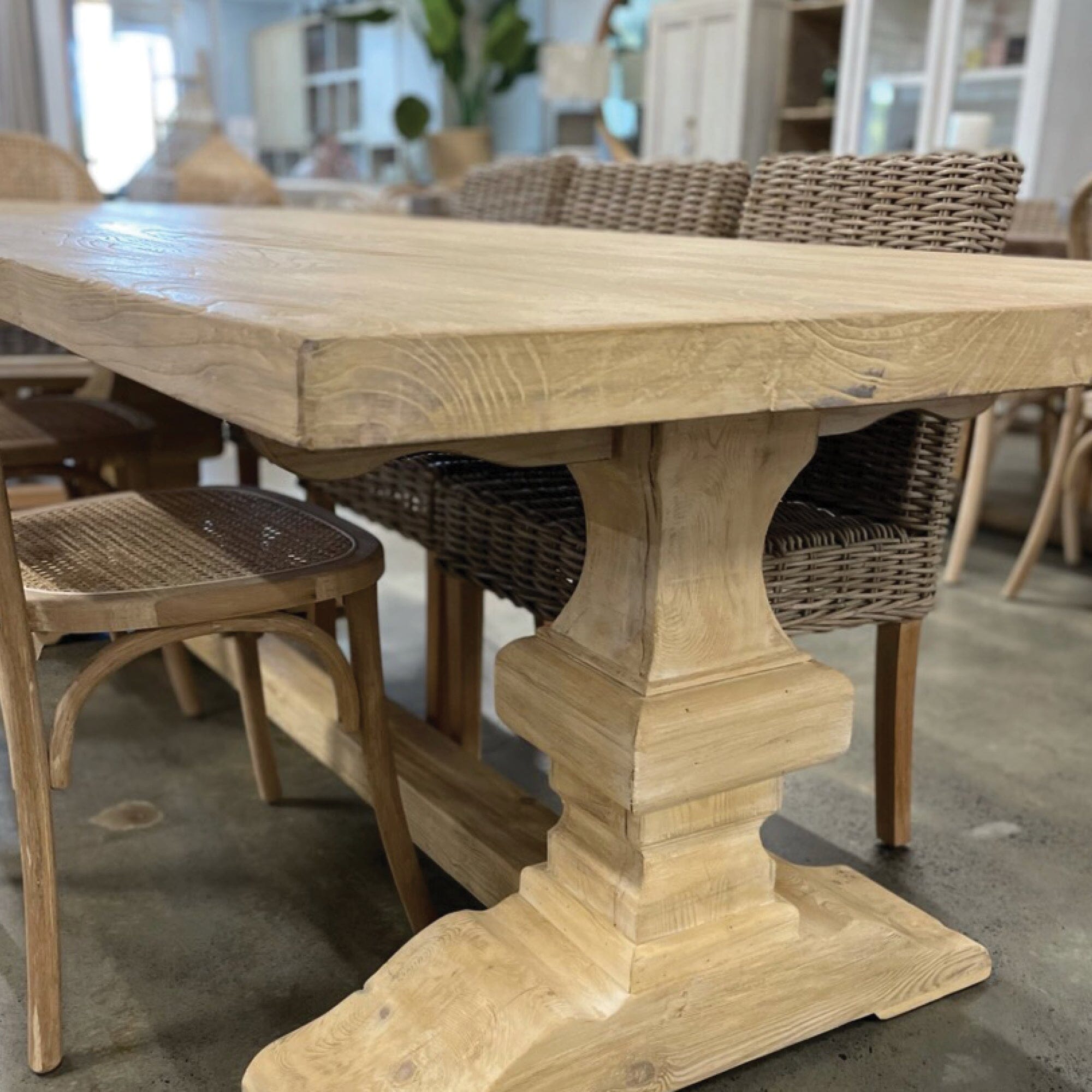 Elm Pedestal Dining Table L2440mm Dining Furniture Beachwood Designs