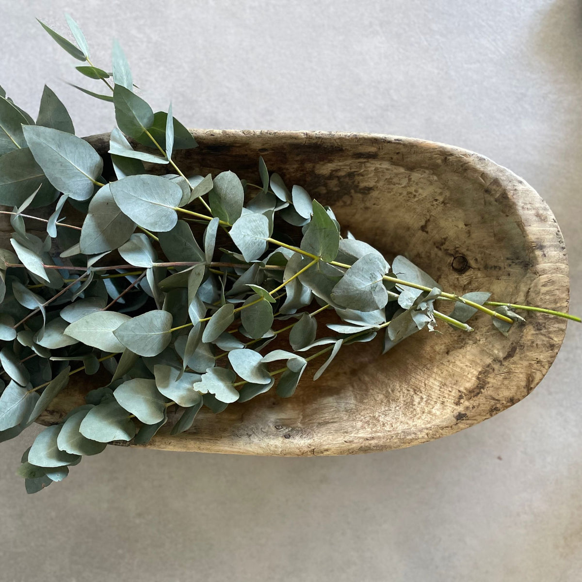 Indian Timber Parat Tray Homewares Beachwood Designs