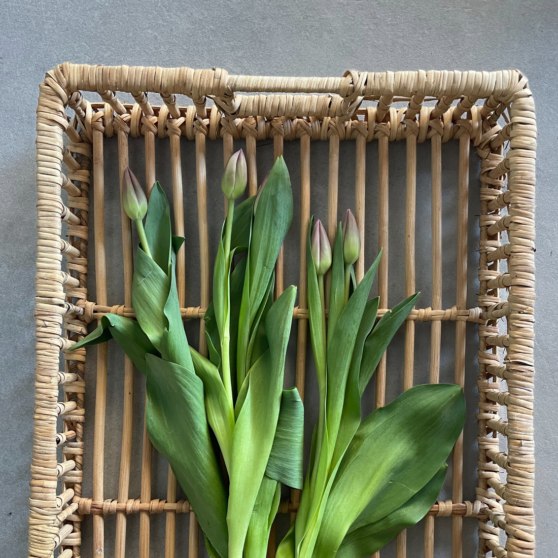 Handmade Rattan Tray