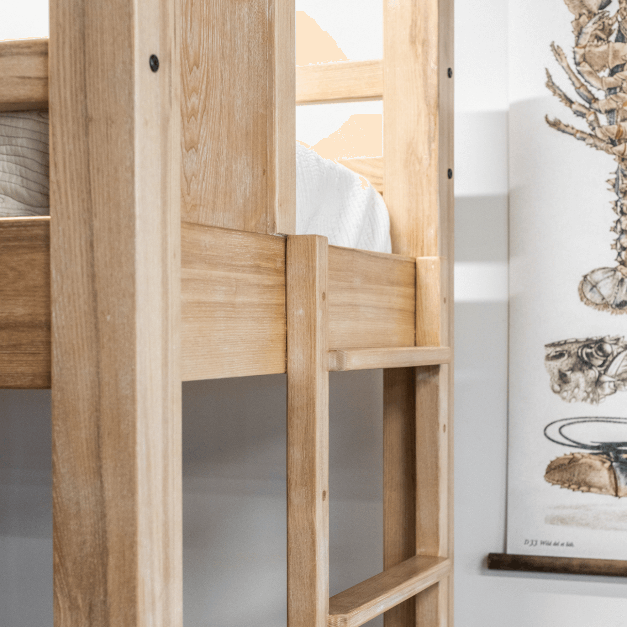 Bunk Bed - Fixed Ladder - King Single