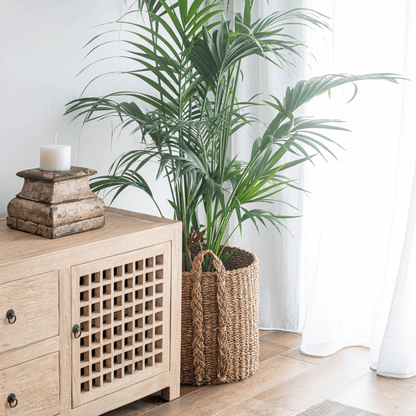 Elm Media Unit L2500mm - Lattice Doors