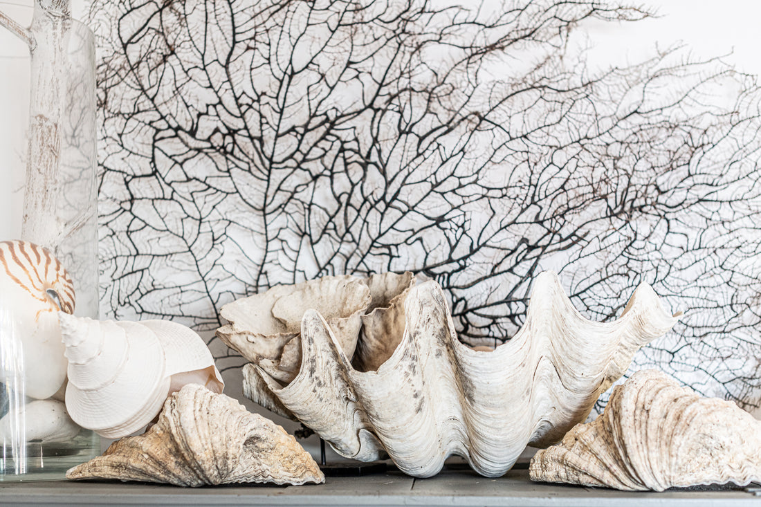 BEACHWOOD - Interior Design Package