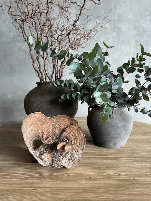 Black Terracotta Pot - Medium Beachwood Designs 