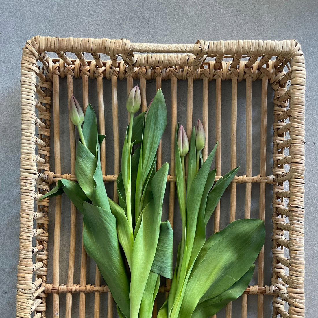 Handmade Rattan Tray Homewares Beachwood Designs 