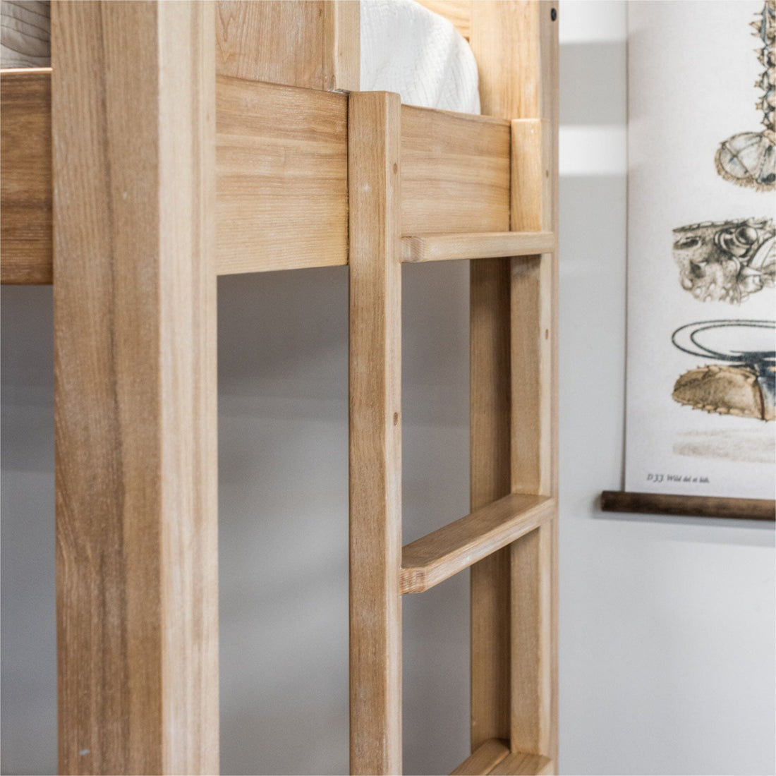 King Single Bunk Beds - Fixed Ladder Bedroom Furniture Beachwood Designs 