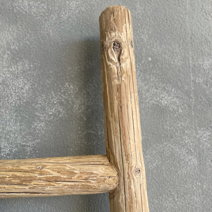 Reclaimed Elm Ladder Homewares Beachwood Designs 