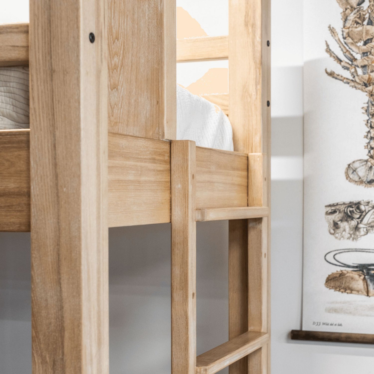 Single Bunk Beds - Fixed Ladder Bedroom Furniture Beachwood Designs 
