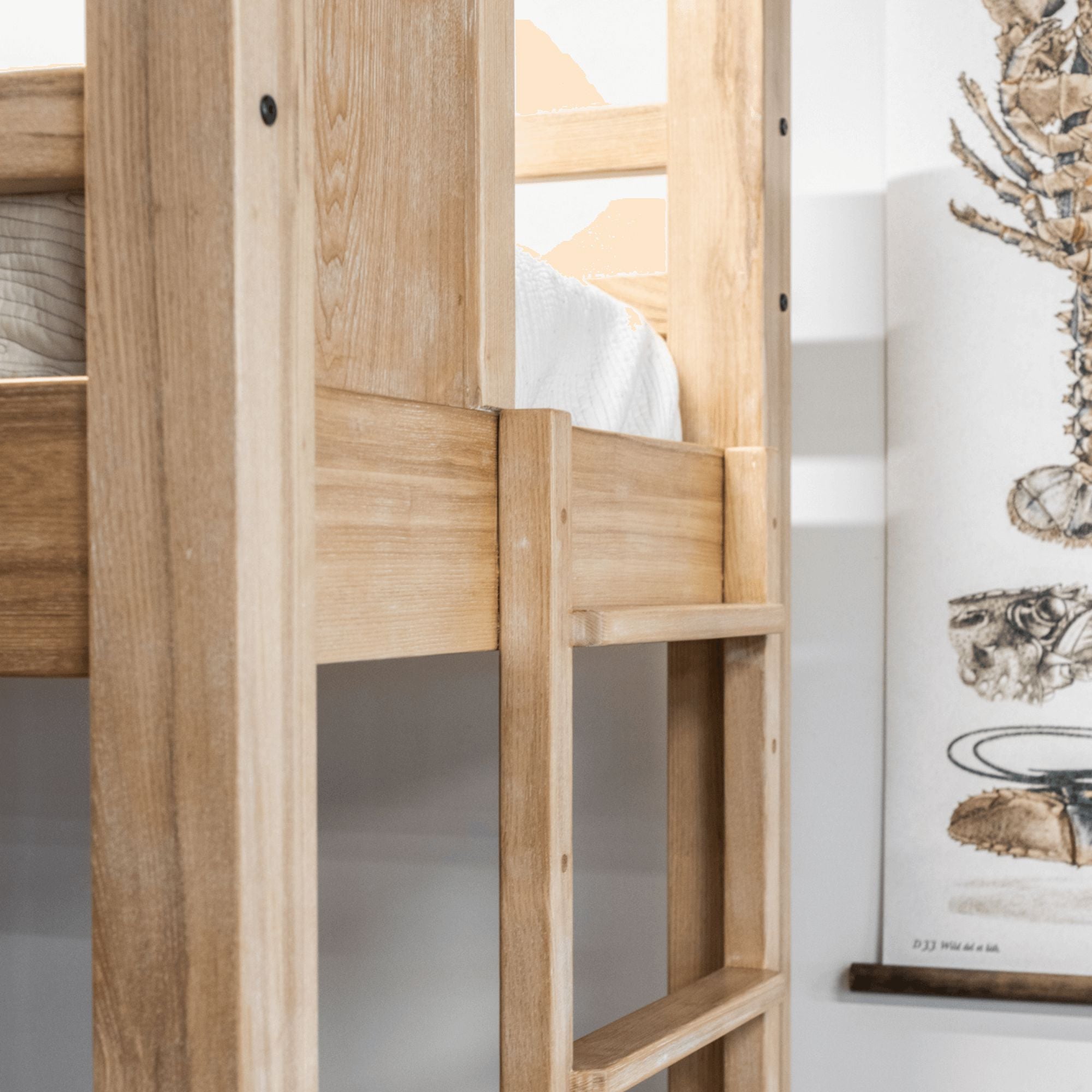 Single Bunk Beds - Fixed Ladder Bedroom Furniture Beachwood Designs 