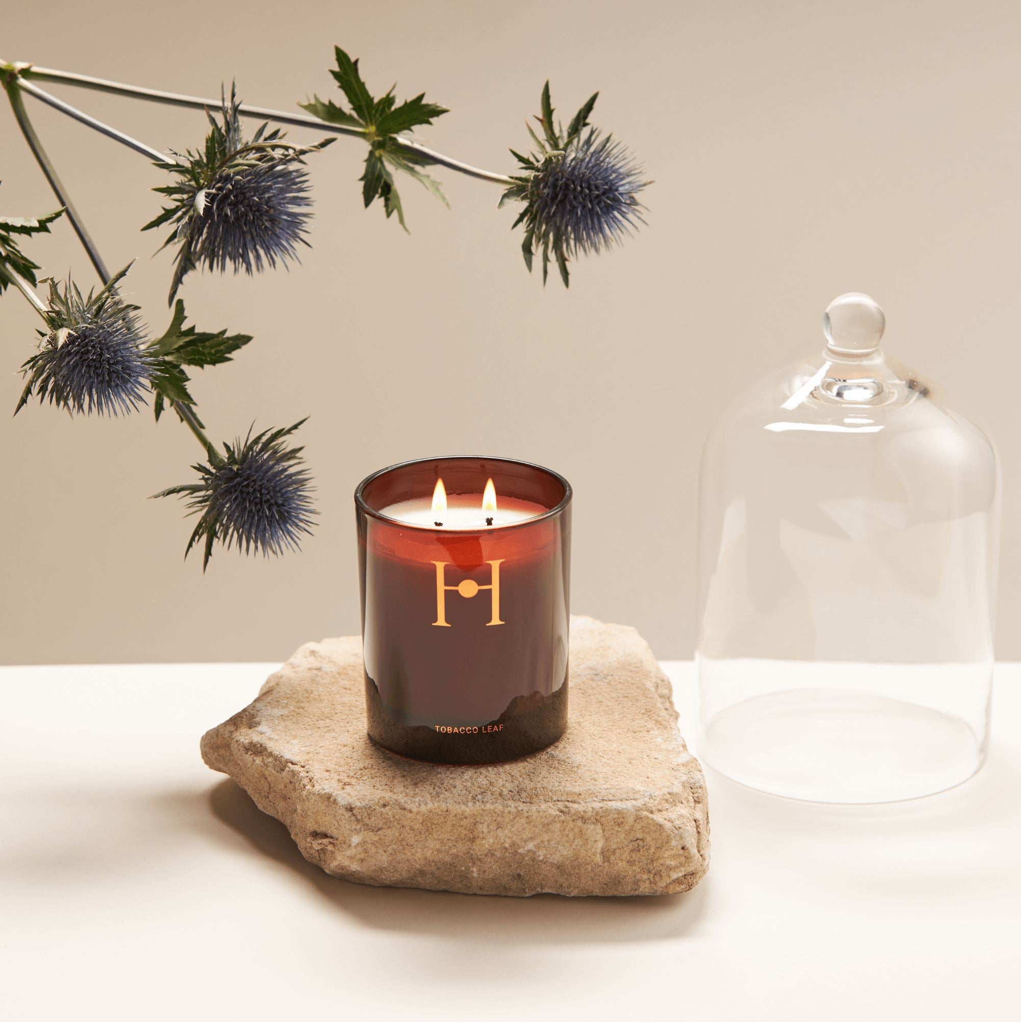 The Herbologist Candle Homewares The Herbologist Tobacco Leaf 